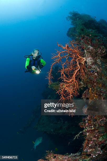 Scuba Diver at Liberty Wreck, Tulamben, Bali, Indonesia