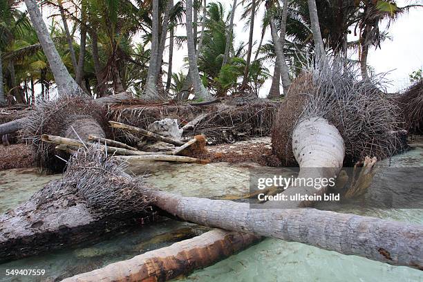 Panama, central America, San Blas: Coco Banderos Cays. Island group in the area Kuna Yala. Because of the climate change the sea level rises and wash...