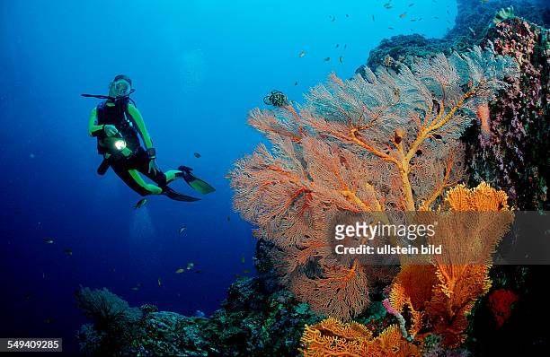 Scuba diver and coral reef, Thailand, Indian Ocean, Phuket, Similan Islands, Andaman Sea