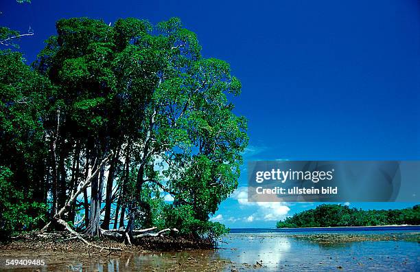 Mangroves island, Papua New Guinea, Neu Irland, New Ireland