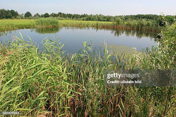 Germany, Dorsten . Recultivation of the former gravel deposit of the company Euroquarz.