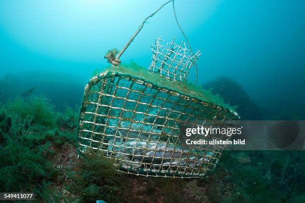 Fish Trap in Reef, Cap de Creus, Costa Brava, Spain