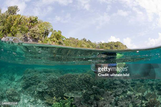 Snorkeling at shallow Coral Reef, Raja Ampat, West Papua, Indonesia