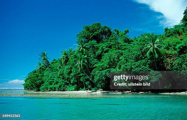 Mangroves island, Papua New Guinea, Neu Irland, New Ireland