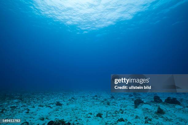 Sandy Bottom and Watersurface, Cozumel, Caribbean Sea, Mexico