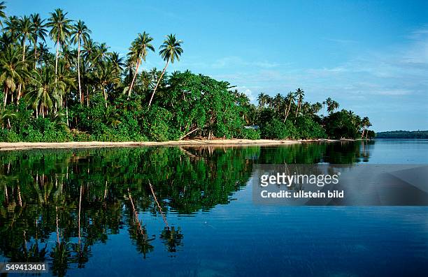 Island with coconut palms, Papua New Guinea, Neu Irland, New Ireland