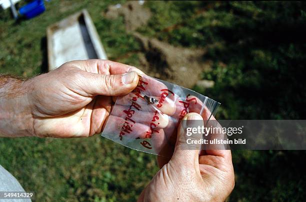 Kosovo near Pristina - Austrian forensic experts investigate in assignment of the International Criminal Tribunal for the former Yugoslavia in Den...