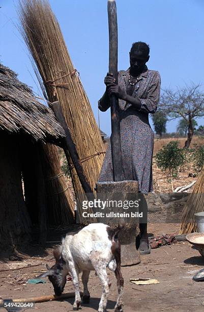 Sudan, 2000: Dinka women making lunch in Malwal Akon.