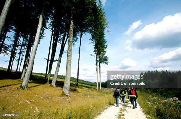 Germany, Swabian Alb, 01.-: Team Craft, Manager Survival Training.- Manager of Carl Zeiss, Daimler Chrysler, Weigle furniture workshops; the way back.