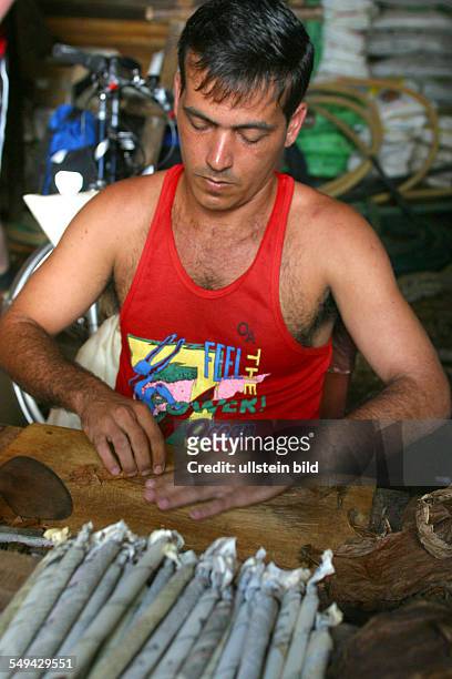 Cuba: Portrait of a Cuban man working on a tobaco farm from Alejandro Robaina; rolling cigarrs.