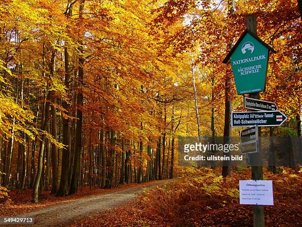 Deutschland: Sächsische Schweiz im Herbst, Wegweiser bei Hinterhermsdorf