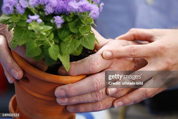 Germany: Therapy. A patient during the therapy for the hands. MODEL RELEASED
