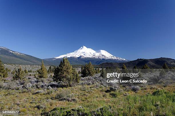 mt shasta from the north - mt shasta fotografías e imágenes de stock