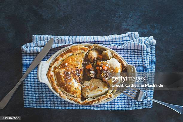 home-made beef and vegetable pie - catherine macbride - fotografias e filmes do acervo