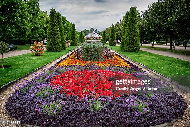 regent's park, london - regent's park bildbanksfoton och bilder