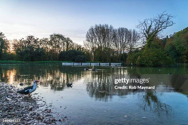 Swanbourne Photos and Premium High Res Pictures - Getty Images