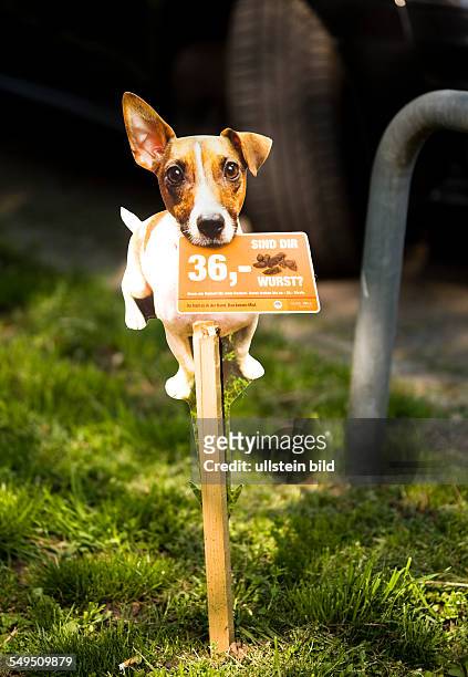 Hinweisschild auf faellige Strafzahlung, falls Hundekot nicht ordnungsgemaess in Tueten entsorgt wird in Wien, Oesterreich.