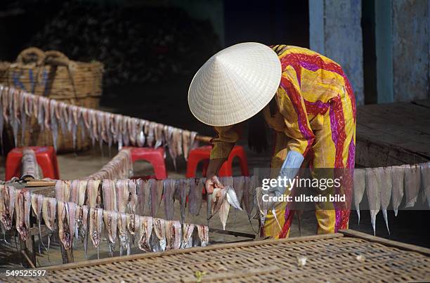 Frau mit traditionellem Strohhut beim Aufhängen frisch gefangener Tintenfische, Vietnam