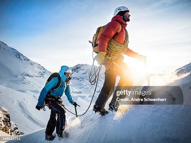 trekking in the austrian alps - following bildbanksfoton och bilder