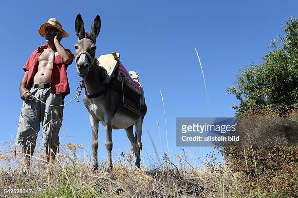 Griechenland Mann mit einem Esel