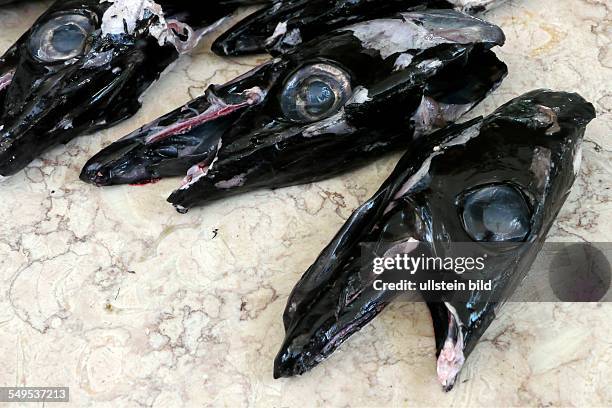 Der weitverbreiteste Speisefisch auf Madeira ist der Degenfisch. Hier: Degenfischköpfe in der Markthalle von Funchal