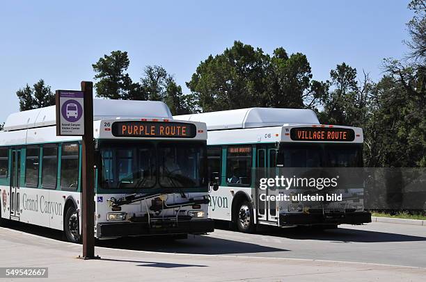 Shuttlebusse befördern die Gäste im Grand Canyon Nationalpark kostenlos zu den verschiedenen Aussichtspunkten, aufgenommen am 11. August 2012.