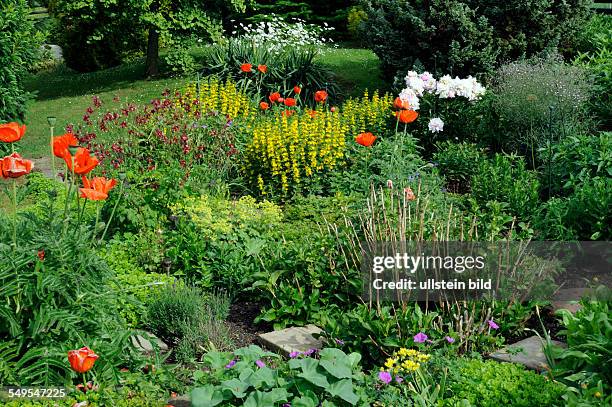 Bauerngarten mit bunten Sommerblumen