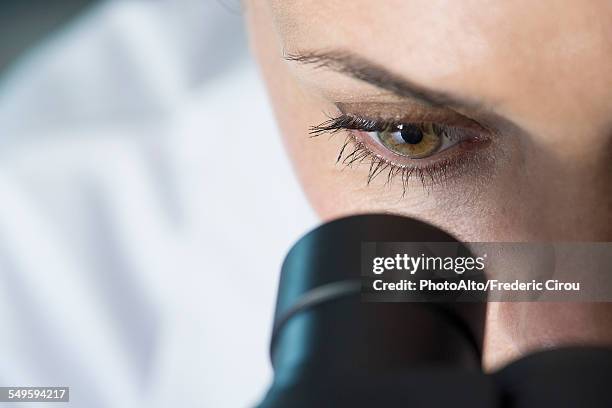 scientist using microscope, close-up - mirar a través fotografías e imágenes de stock