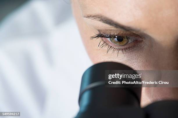 scientist using microscope, close-up - microscoop stockfoto's en -beelden