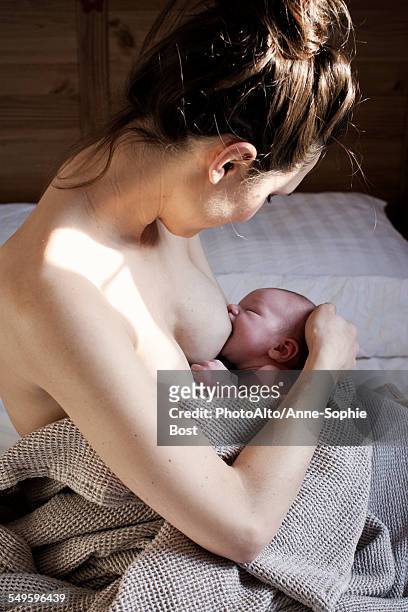 mother breastfeeding newborn baby - anne sophie mutter stock-fotos und bilder