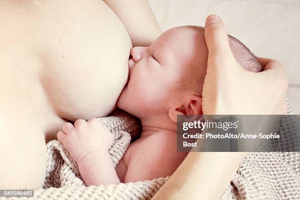 mother breastfeeding newborn baby, cropped - suck stock pictures, royalty-free photos & images