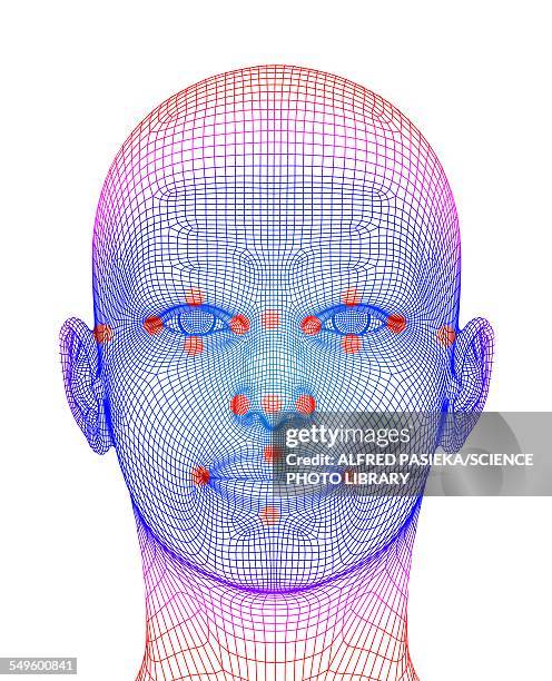 biometric facial map - facial recognition technology stock-grafiken, -clipart, -cartoons und -symbole