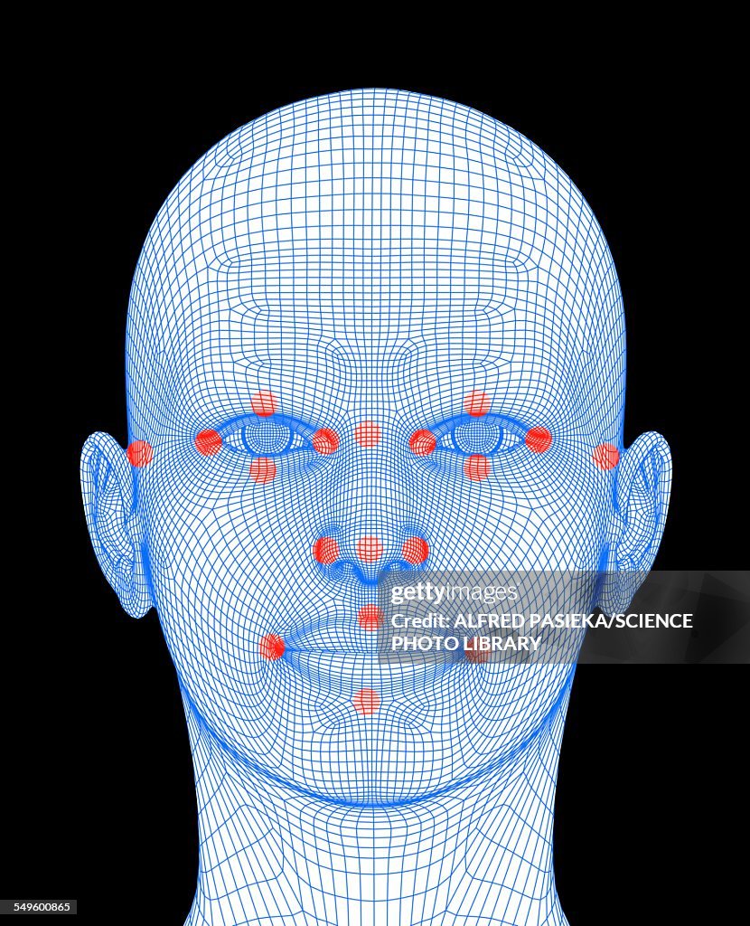 Biometric facial map