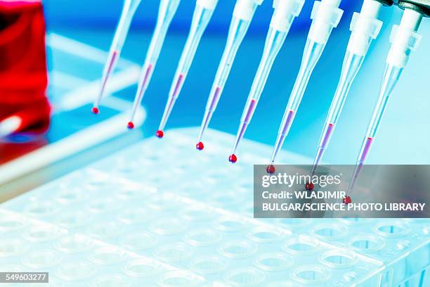 multi channel pipette - 96 well plate stock pictures, royalty-free photos & images