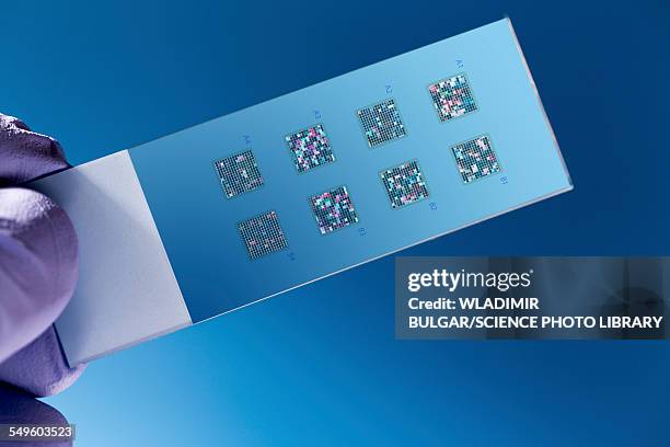 dna biochip - biochip equipo de laboratorio fotografías e imágenes de stock