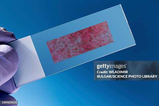 dna biochip - biochip equipo de laboratorio fotografías e imágenes de stock