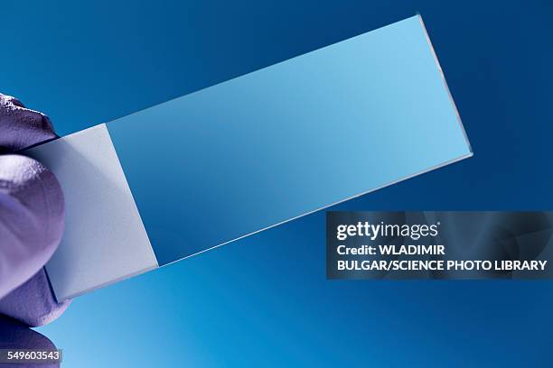 Empty Microscope Slide 328 Hand Holding Microscope Slide Stock Photos, High-Res Pictures, and ...