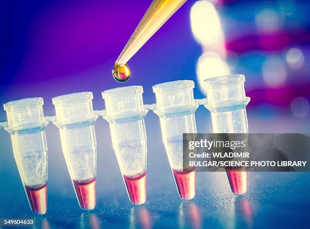 Clean Microtubes 153 Microtube Stock Photos, High-Res Pictures, and Images - Getty Images