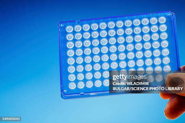 microtitre plate used in dna research - 96 well plate stock pictures, royalty-free photos & images