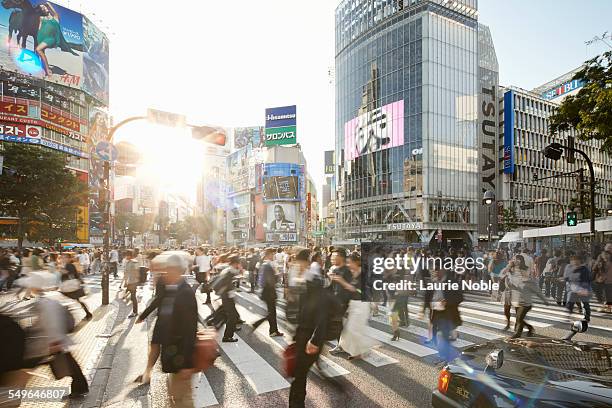 shibuya scramble crossing, shibuya, tokyo, japan - bezirk shibuya stock-fotos und bilder