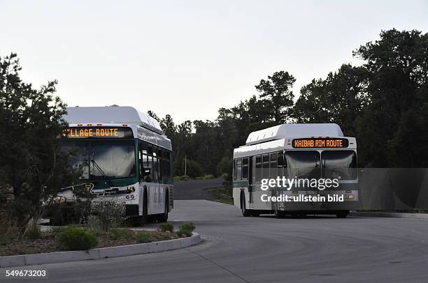 Shuttlebusse befördern die Gäste im Grand Canyon Nationalpark kostenlos zu den verschiedenen Aussichtspunkten, aufgenommen am 11. August 2012.