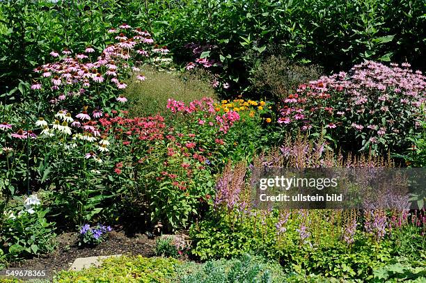 Bauerngarten mit bunten Sommerblumen