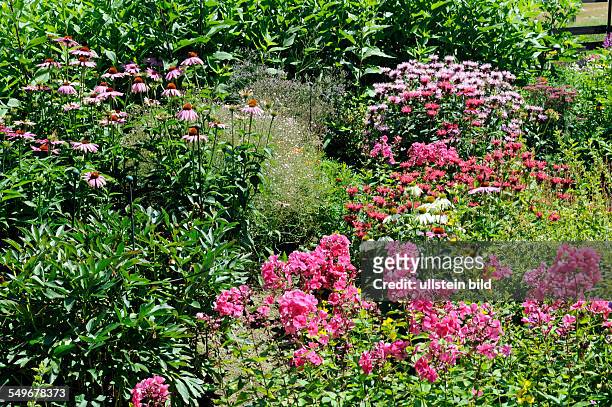 Bauerngarten mit bunten Sommerblumen
