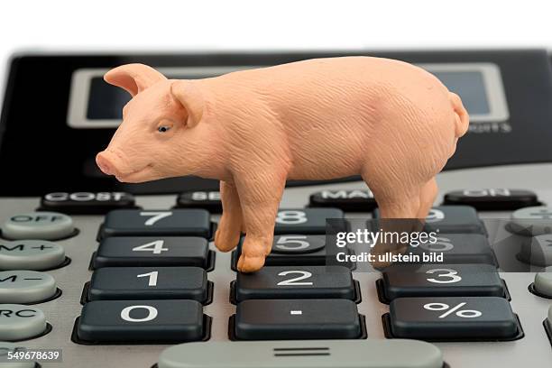 Ein Schwein und ein Taschenrechner als Symbolfoto für Kosten und Erträge bei einem Bauern in der Landwirtschaft.Ausgaben, Einnahmen und Buchhaltung.