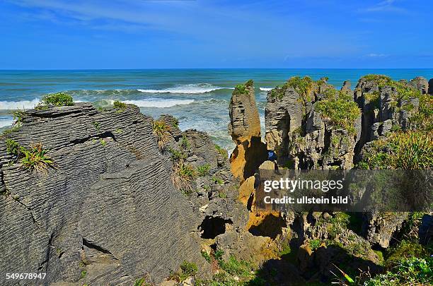 Neuseeland, Felskueste an den Pancake Rocks an der Tasman Sea