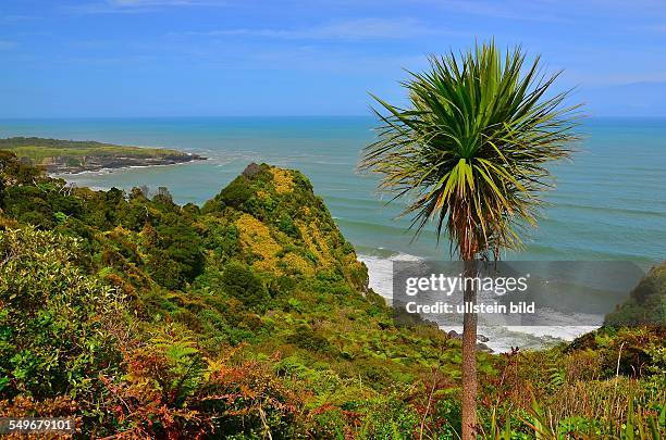 Neuseeland, Landschaft am Cape Foulwind