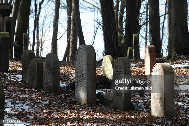 Ringgau-Netra : Jüdischer Friedhof - Der jüdische Waldfriedhof liegt 1,5 km südlich des Dorfes Netra.