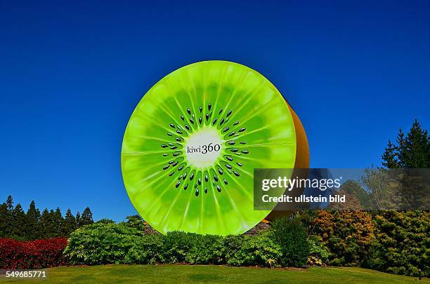 Neuseeland, Te Puke, riesige Nachbildung einer aufgeschnittenen Kiwifrucht in der "Welt-Kiwi-Hauptstadt"