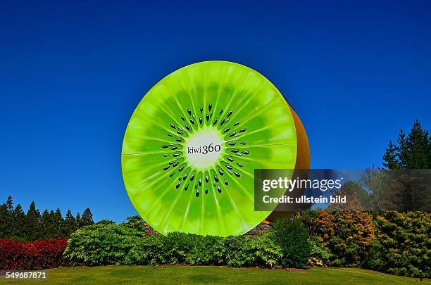 Neuseeland, Te Puke, riesige Nachbildung einer aufgeschnittenen Kiwifrucht in der "Welt-Kiwi-Hauptstadt"