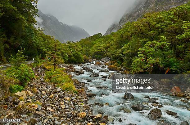 Neuseeland, Cascade Creek im Fiordland Nationalpark